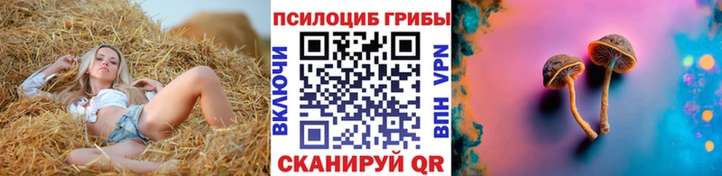 гидра маркетплейс  Сатка  Галлюциногенные грибы Psilocybe 